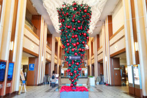 パインズの逆さクリスマスツリーを見てきた！2021年に向かって上を見上げよう