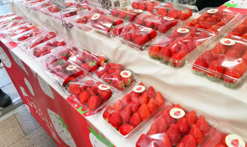 浦和駅改札前で宇都宮線で運ばれたイチゴが13日まで販売されています
