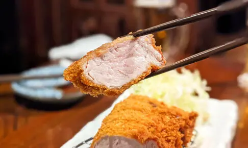 裏門通りの人気居酒屋「和裏酒場 弐」で味わう極上のヒレカツ