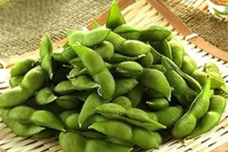 8月29日|山形県鶴岡市から「だだちゃ豆」