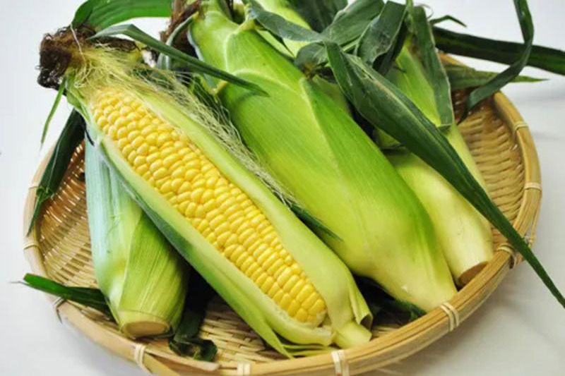 8月28日|青森県弘前市からブランドとうもろこし「嶽きみ」
