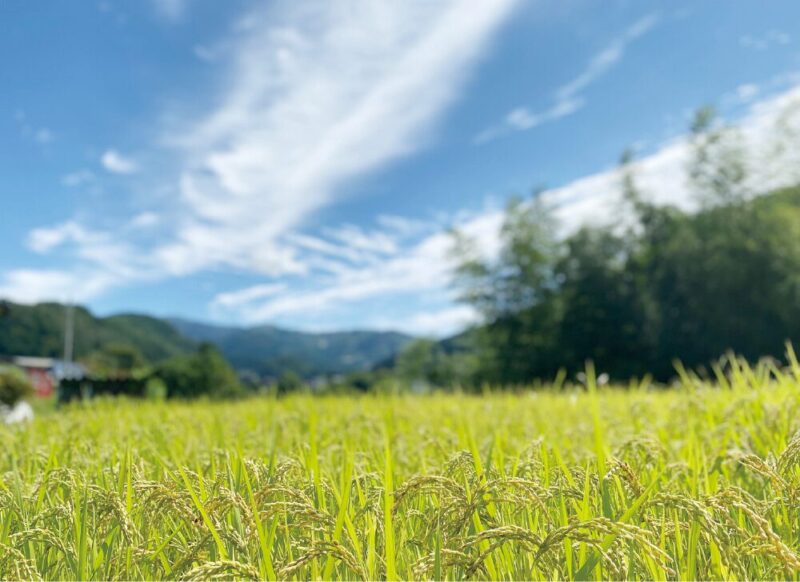 展示内容4. 二地域居住