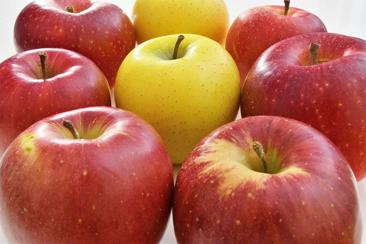 浦和駅で「超りんご産直市」12月1日〜7日まで開催