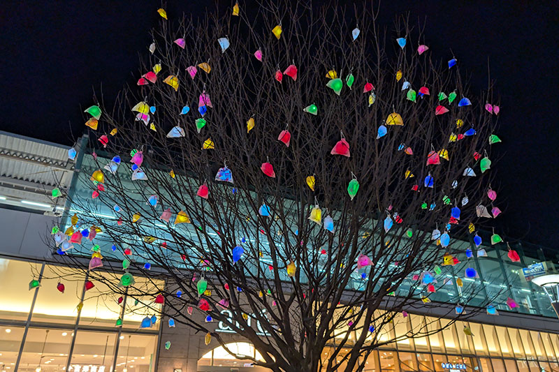 浦和駅東口で「ひかりの実プロジェクト」が行われている