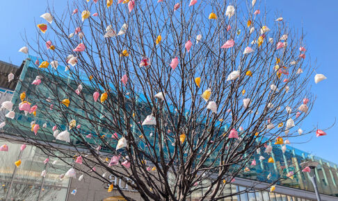 浦和駅東口で「ひかりの実プロジェクト」が行われている